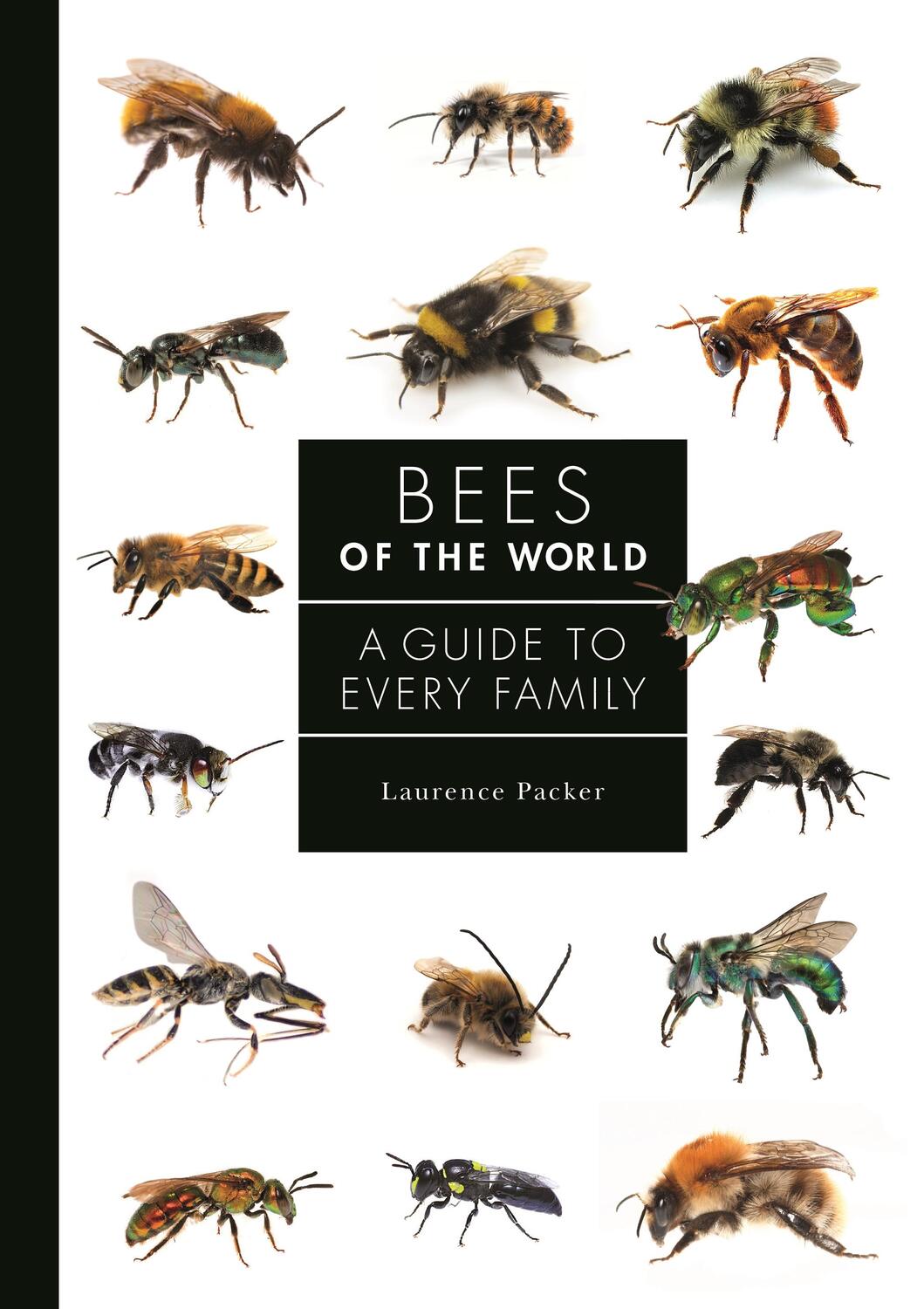 Cover: 9780691226620 | Bees of the World | A Guide to Every Family | Laurence Packer | Buch