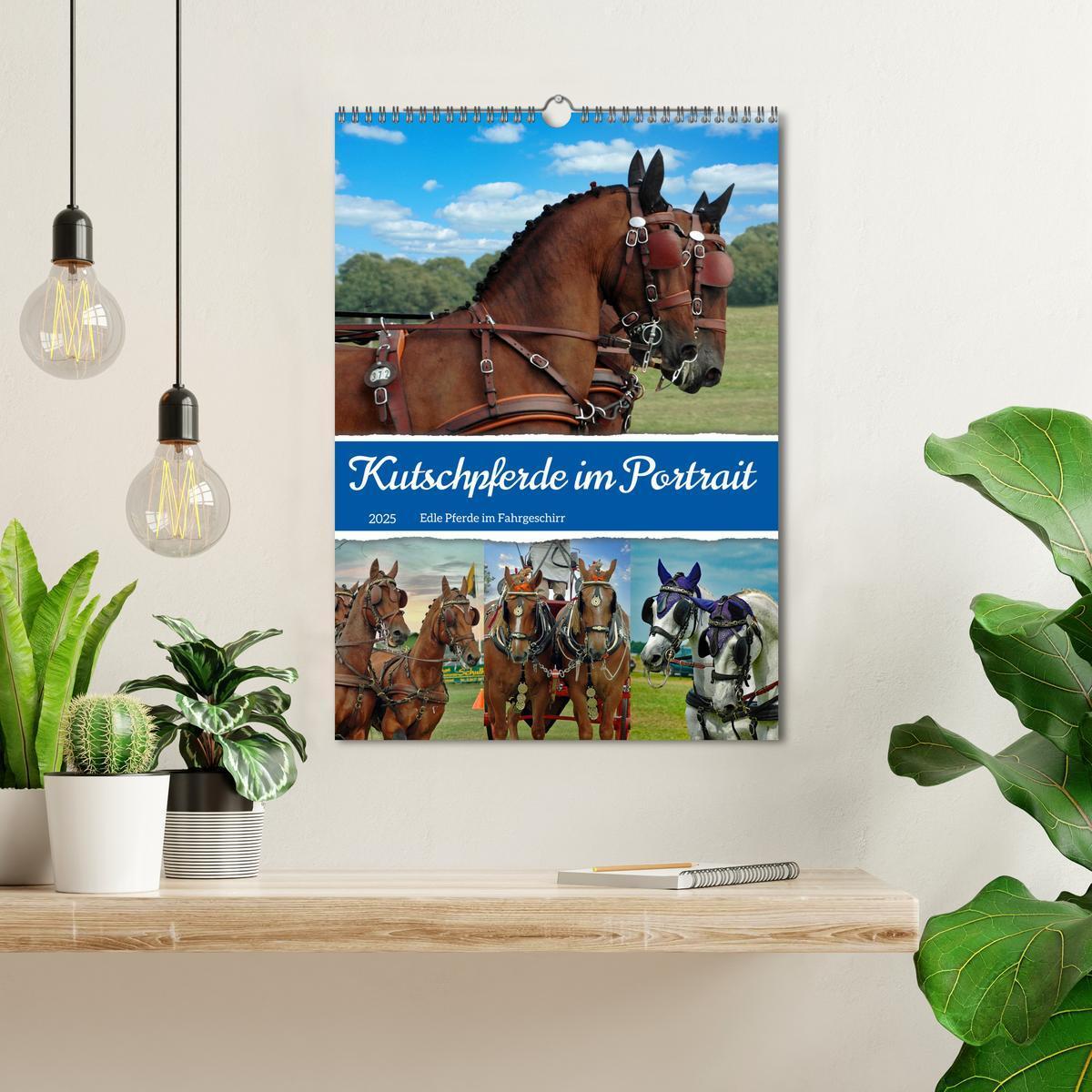 Bild: 9783435900954 | Kutschpferde im Portait (Wandkalender 2025 DIN A3 hoch), CALVENDO...