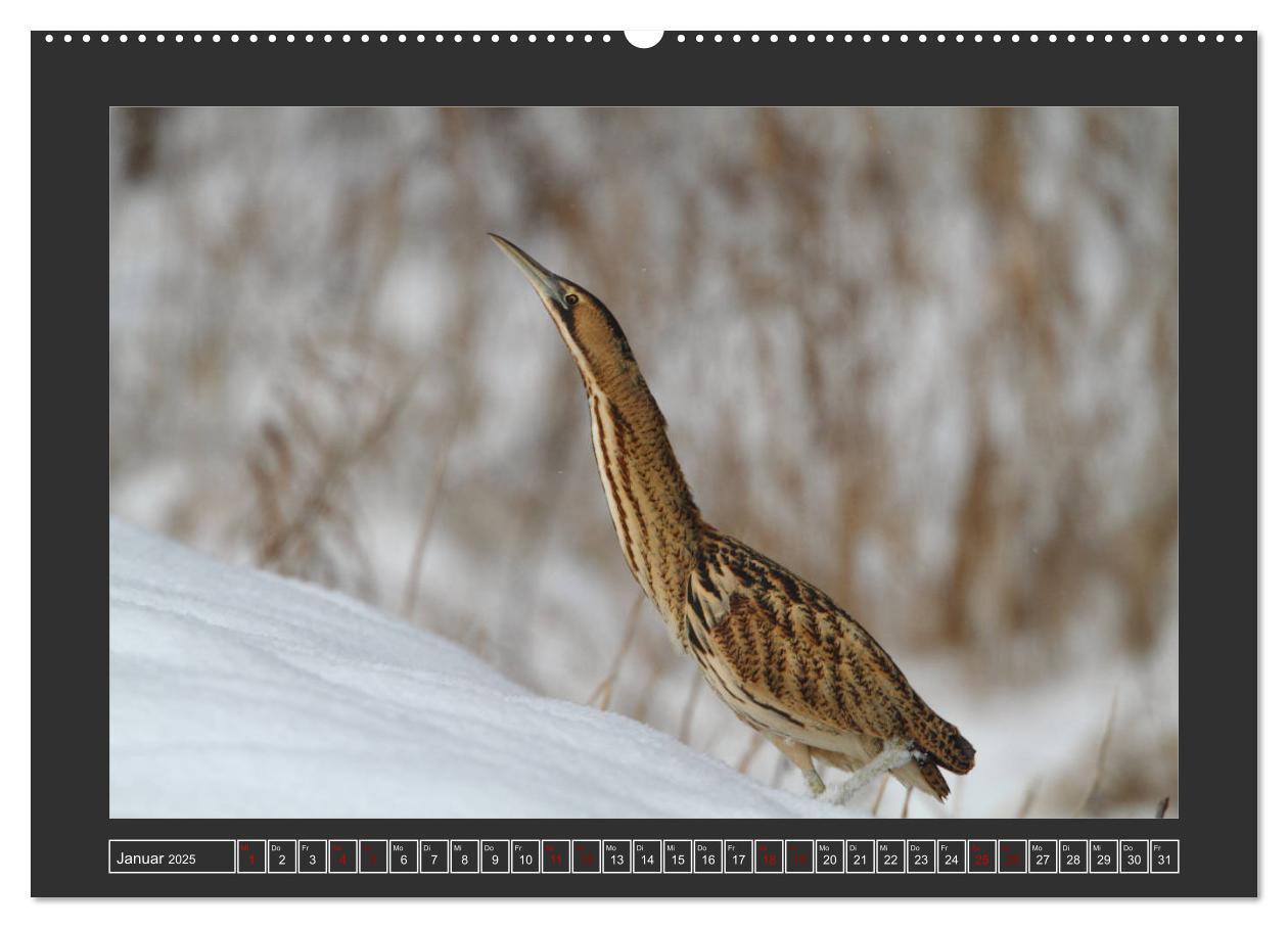 Bild: 9783435169481 | Winterzauber - Tiere in Eis und Schnee (Wandkalender 2025 DIN A2...