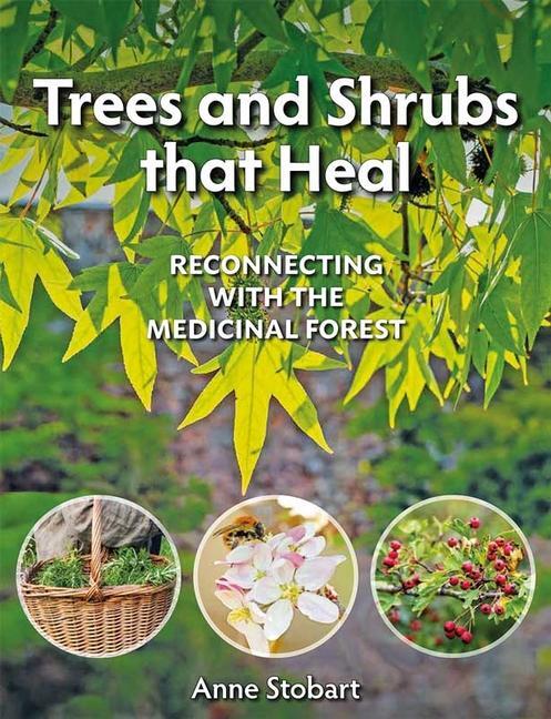 Cover: 9781856232623 | Trees and Shrubs That Heal | Reconnecting With The Medicinal Forest