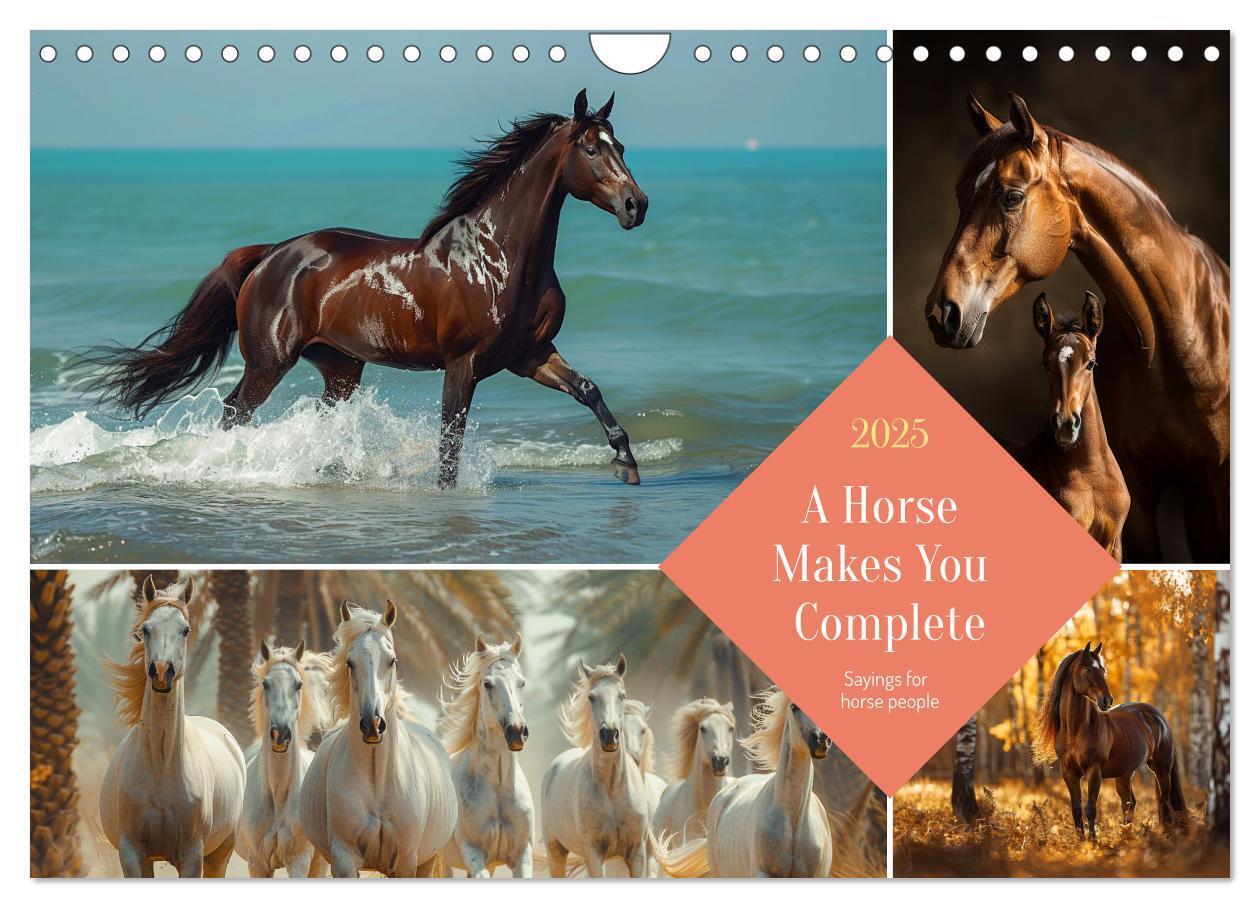 Cover: 9781325980727 | A Horse Makes You Complete (Wall Calendar 2025 DIN A4 landscape),...