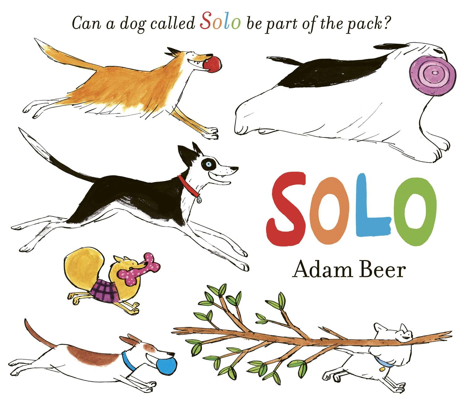 Cover: 9781471191633 | Solo | Can a dog called Solo be part of the pack? | Adam Beer | Buch