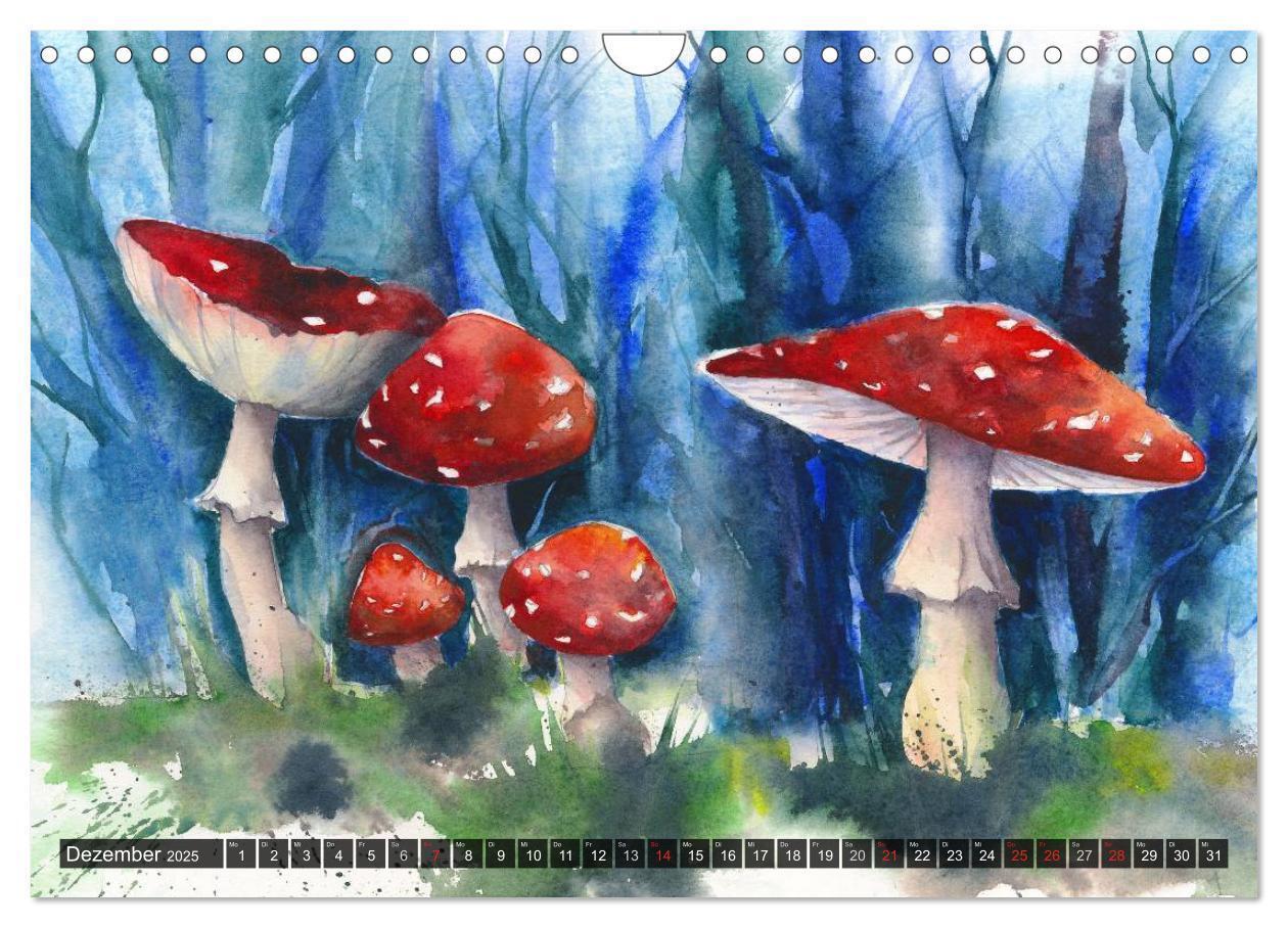 Bild: 9783435602124 | Pilze in Aquarell (Wandkalender 2025 DIN A4 quer), CALVENDO...