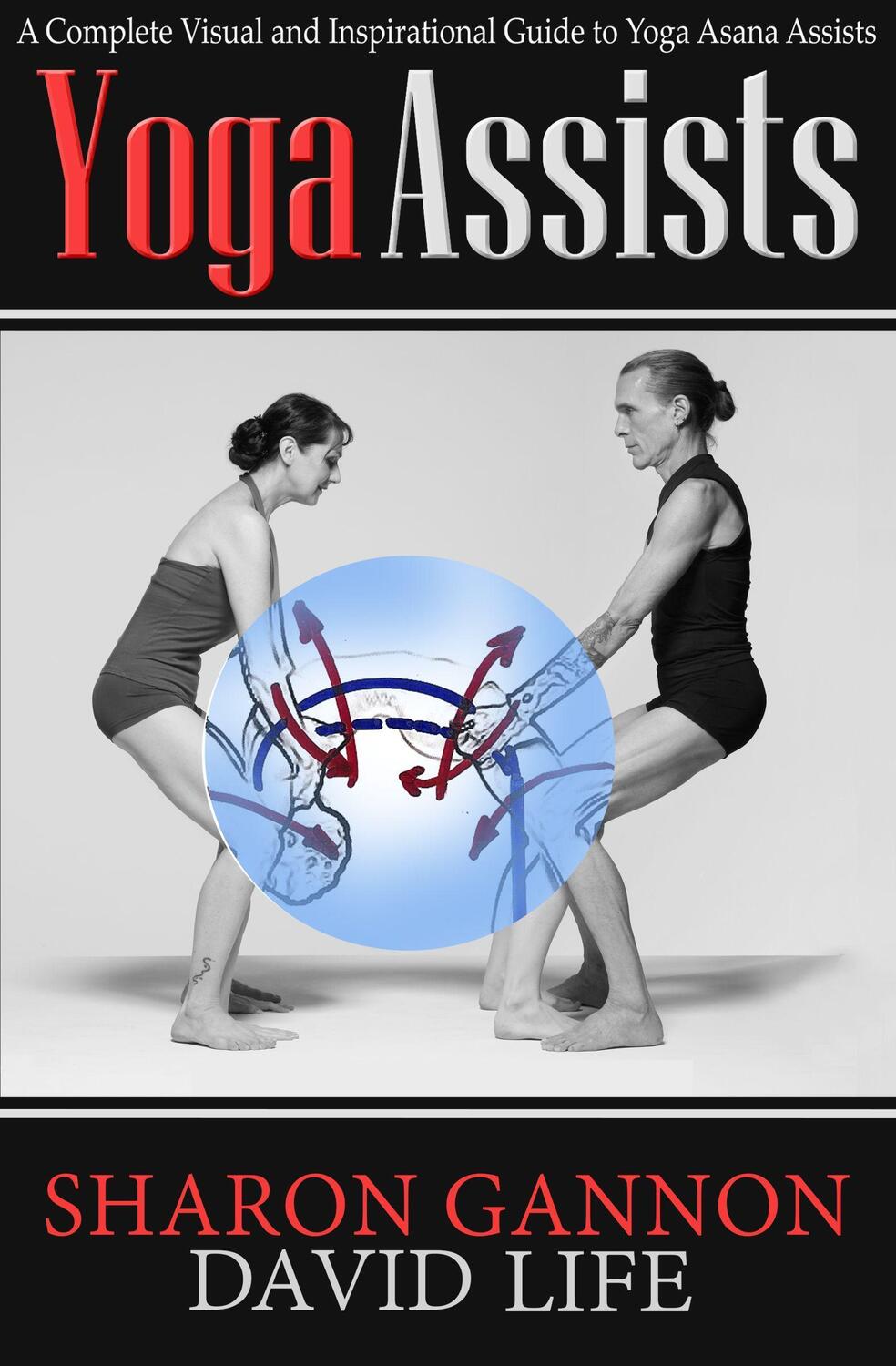 Cover: 9781624670541 | Yoga Assists | Sharon Gannon (u. a.) | Taschenbuch | Englisch | 2014