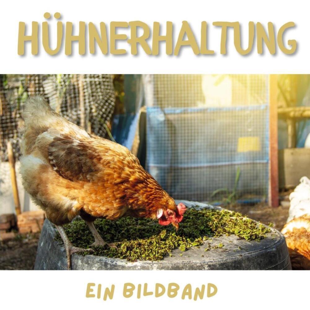 Cover: 9783750505612 | Hühnerhaltung | Ein Bildband | Tim Fröhlich | Taschenbuch | 42 S.