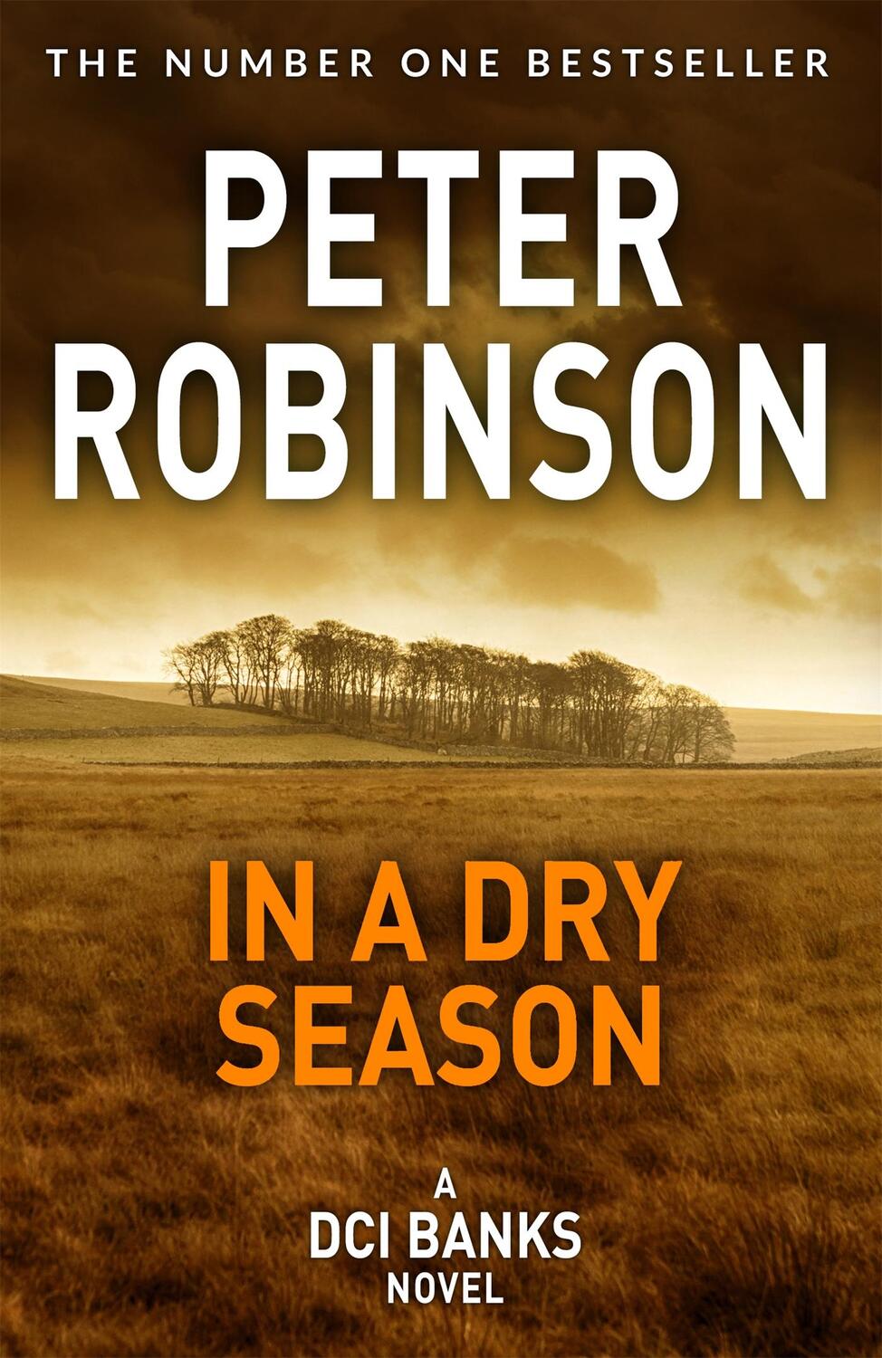 Cover: 9781509859948 | In A Dry Season | Peter Robinson | Taschenbuch | Englisch | 2020