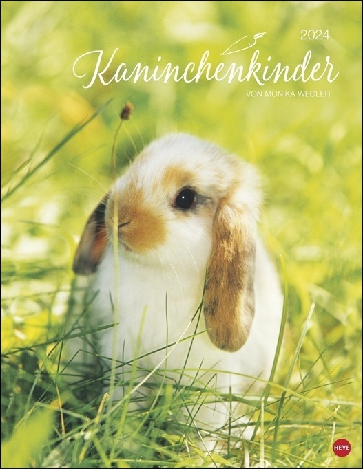 Cover: 9783756401611 | Kaninchenkinder Posterkalender 2024 von Monika Wegler. Ein...