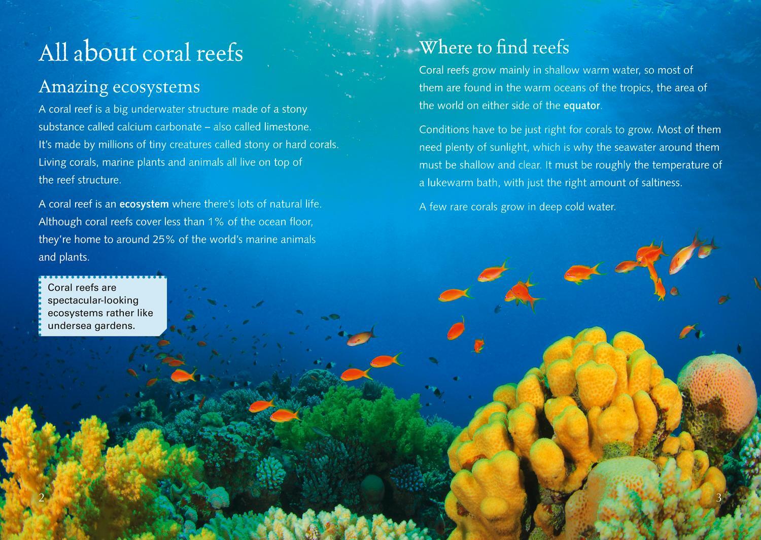 Bild: 9780008164034 | Coral Reefs | Band 18/Pearl | Moira Butterfield | Taschenbuch | 2016