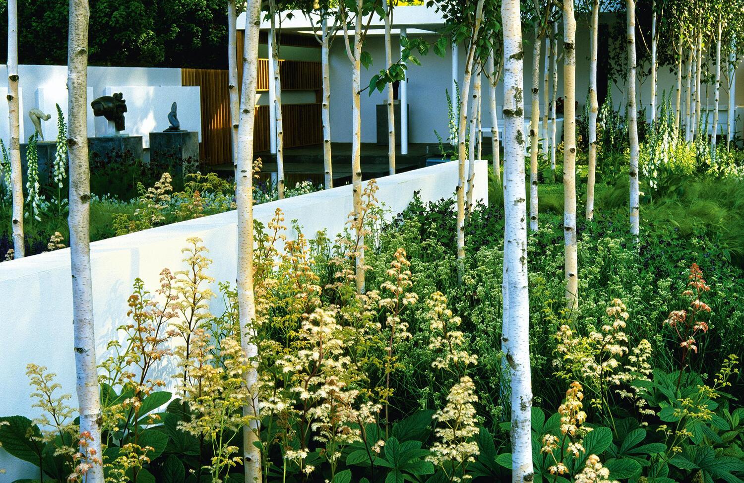 Bild: 9783938100875 | Design mit Pflanzen | Moderne Architektur im Garten | Peter Janke