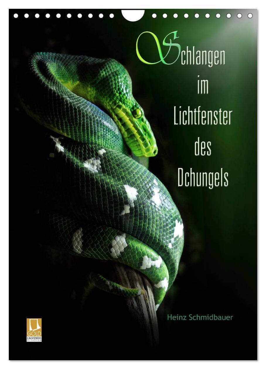 Cover: 9783675898745 | Schlangen im Lichtfenster des Dschungels (Wandkalender 2024 DIN A4...