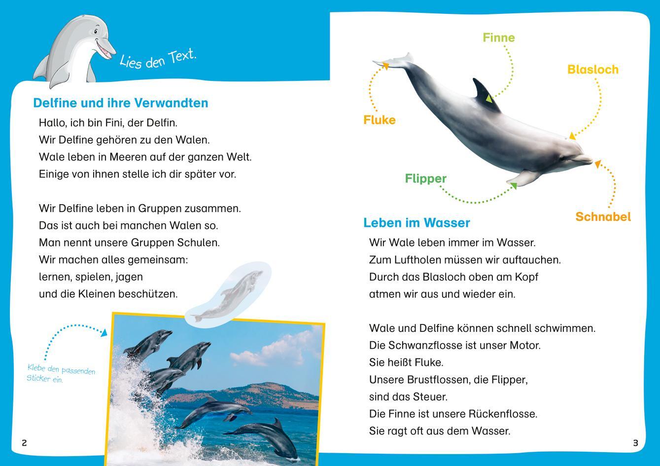 Bild: 9783788681449 | WAS IST WAS Erstes Lesen. Leserätsel Wale und Delfine | Braun | 48 S.