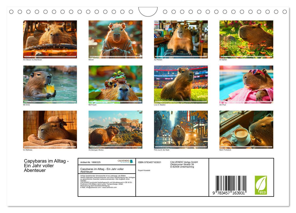 Bild: 9783457163931 | Capybaras im Alltag - Ein Jahr voller Abenteuer (Wandkalender 2025...