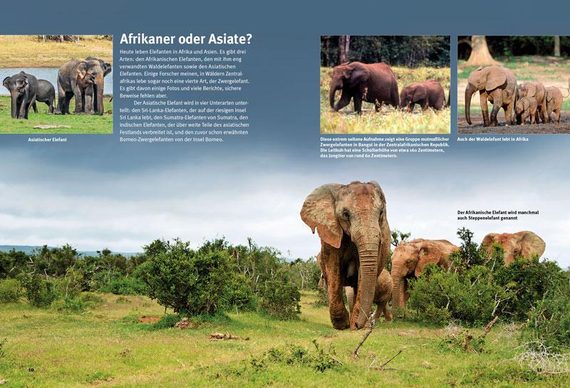 Bild: 9783866592858 | Entdecke die Elefanten | Arno Schulz (u. a.) | Buch | 64 S. | Deutsch