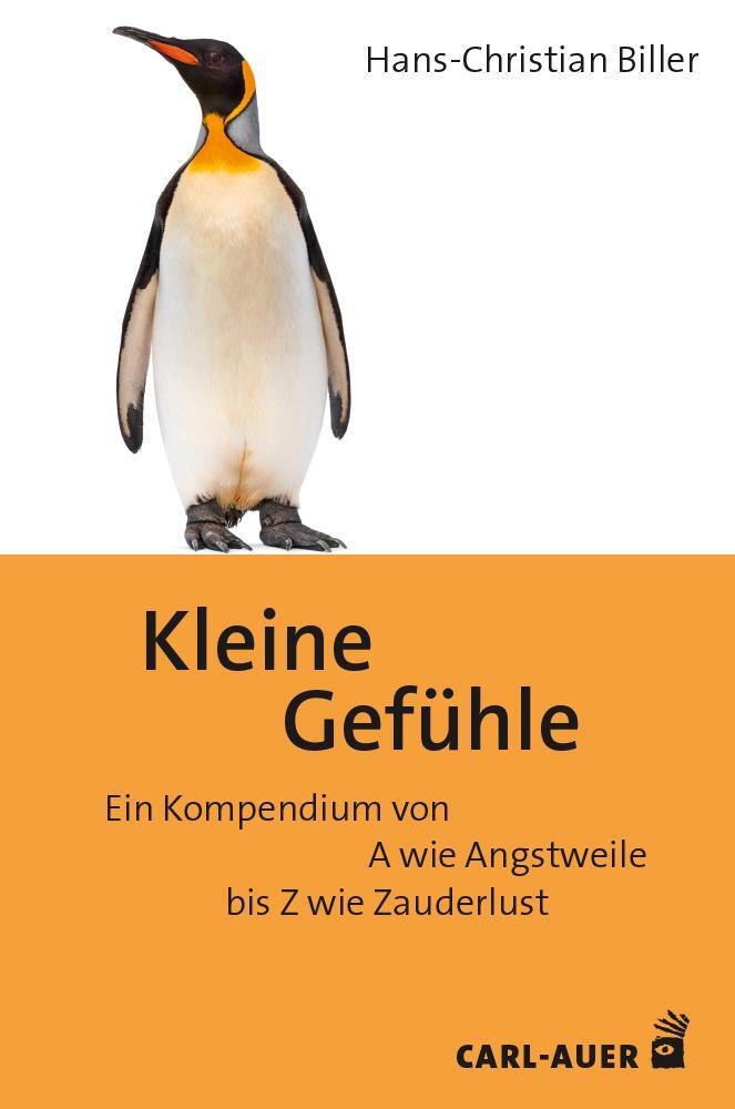 Cover: 9783849705275 | Kleine Gefühle | Hans-Christian Biller | Taschenbuch | 109 S. | 2024