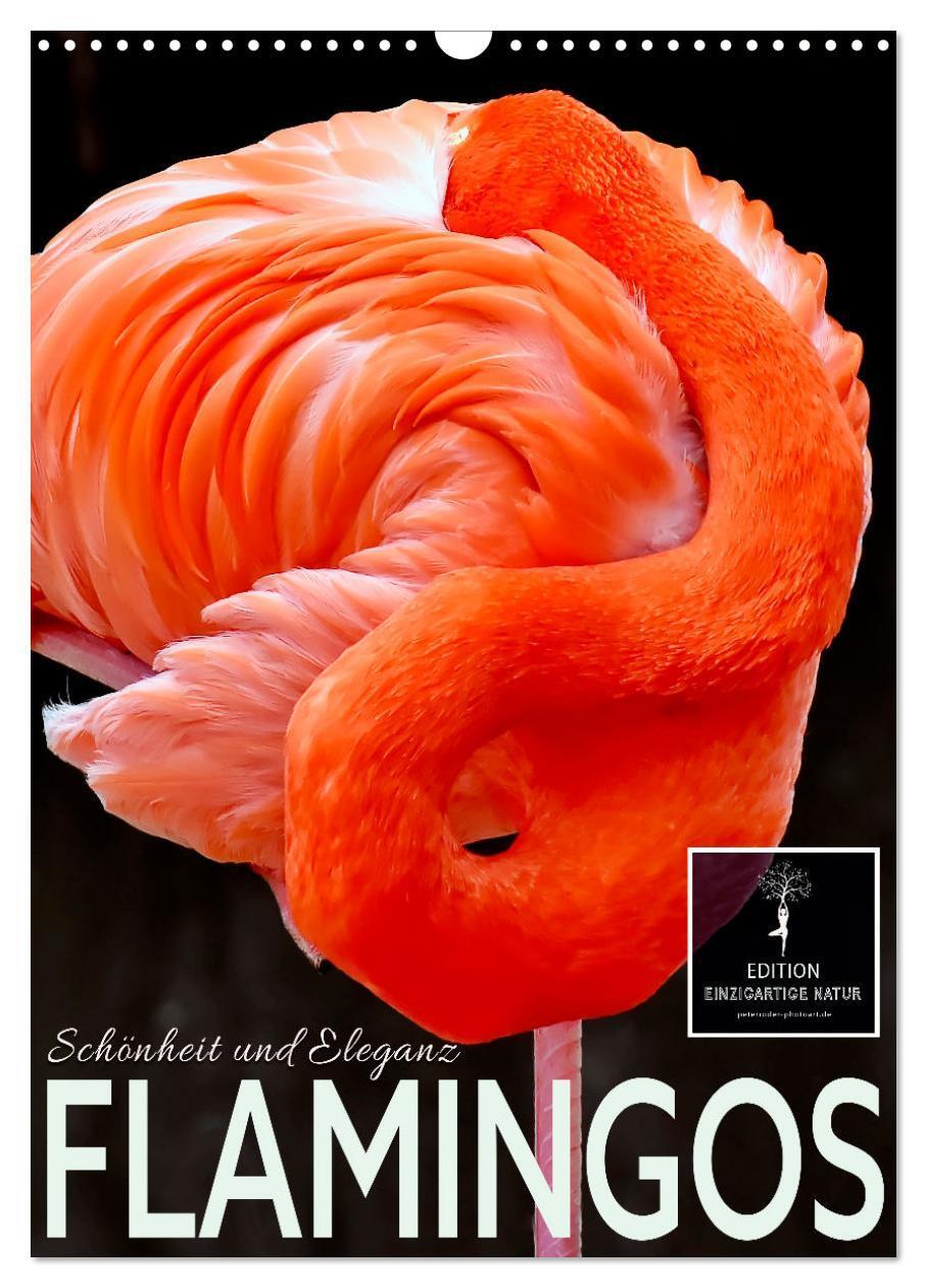 Cover: 9783675510920 | Flamingos - Eleganz und Schönheit (Wandkalender 2024 DIN A3 hoch),...