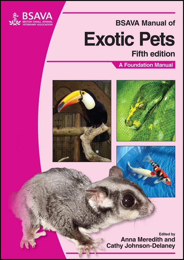 Cover: 9781905319169 | BSAVA Manual of Exotic Pets | A Foundation Manual | CJ Delaney | Buch