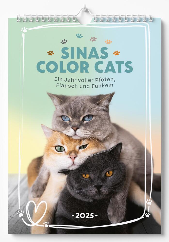 Cover: 9783989352674 | Sinas Color Cats - Ein Jahr voller Pfoten, Flausch und Funkeln | 2025