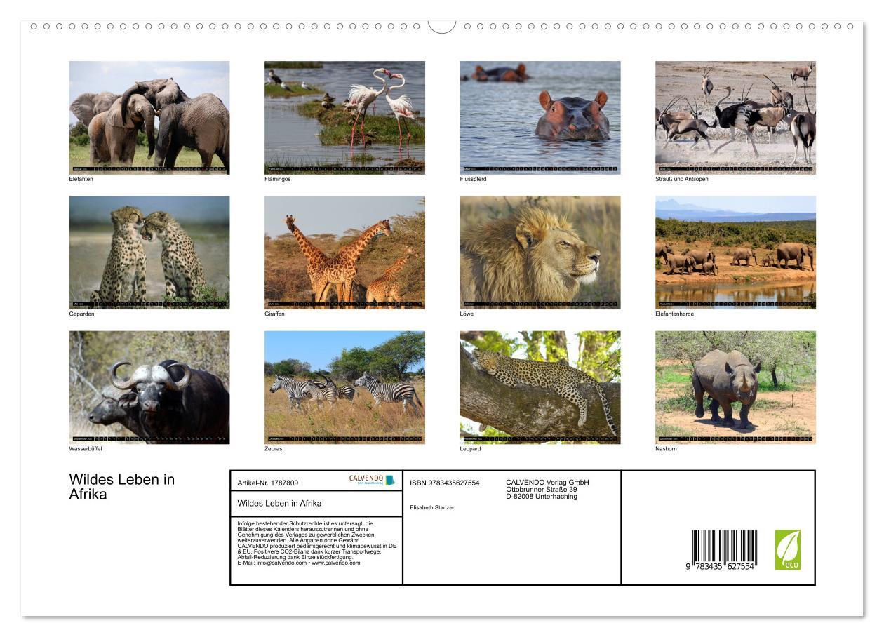 Bild: 9783435627554 | Wildes Leben in Afrika (hochwertiger Premium Wandkalender 2025 DIN...