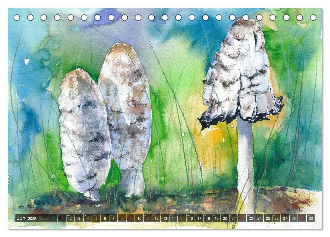 Bild: 9783435593545 | Pilze in Aquarell (Tischkalender 2025 DIN A5 quer), CALVENDO...