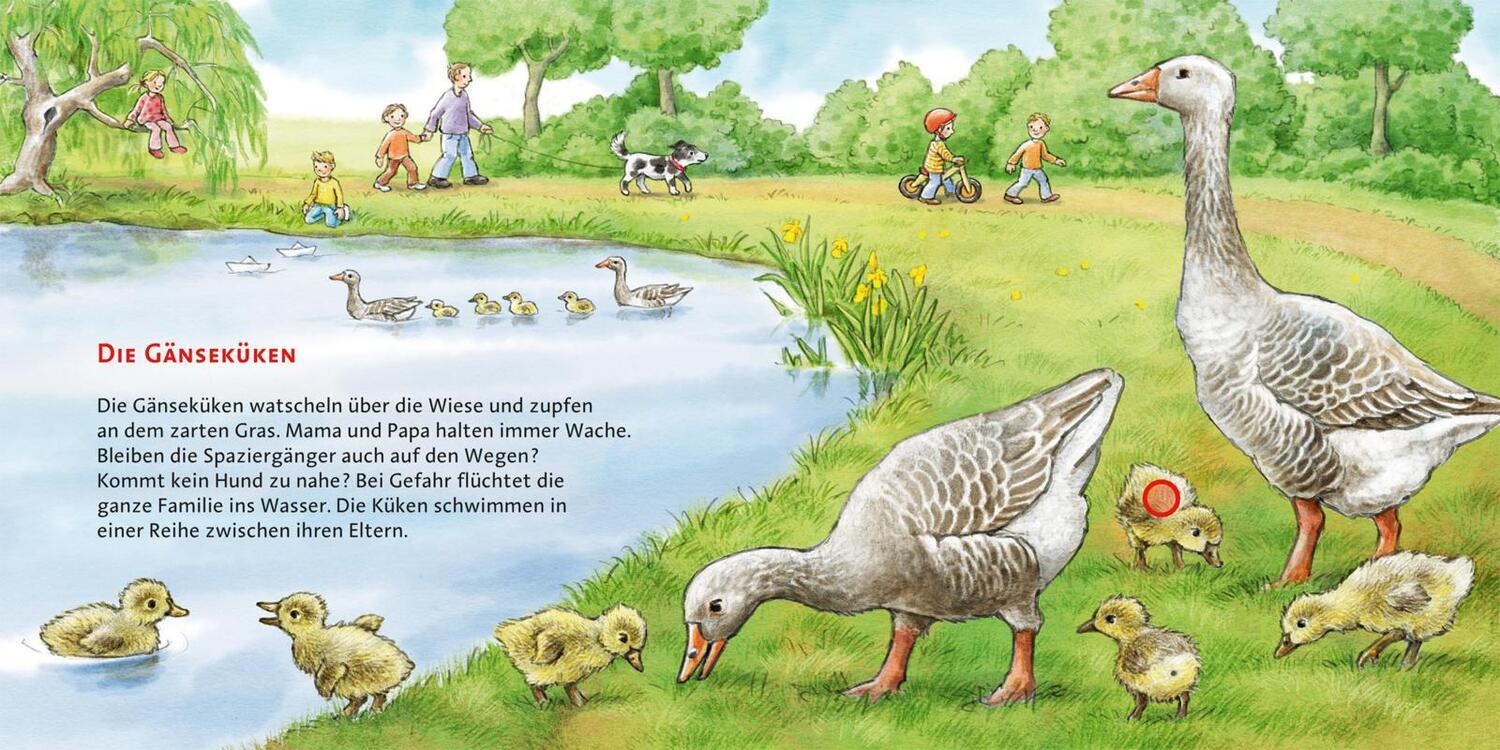Bild: 9783551250469 | Hör mal (Soundbuch): Die Tierkinder | Anne Möller | Buch | 16 S.
