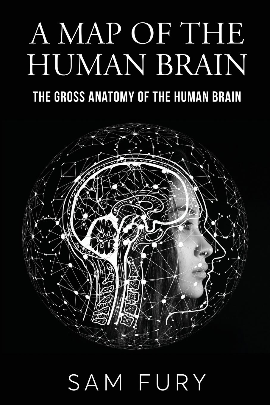 Cover: 9781922649744 | A Map of the Human Brain | The Gross Anatomy of the Human Brain | Fury