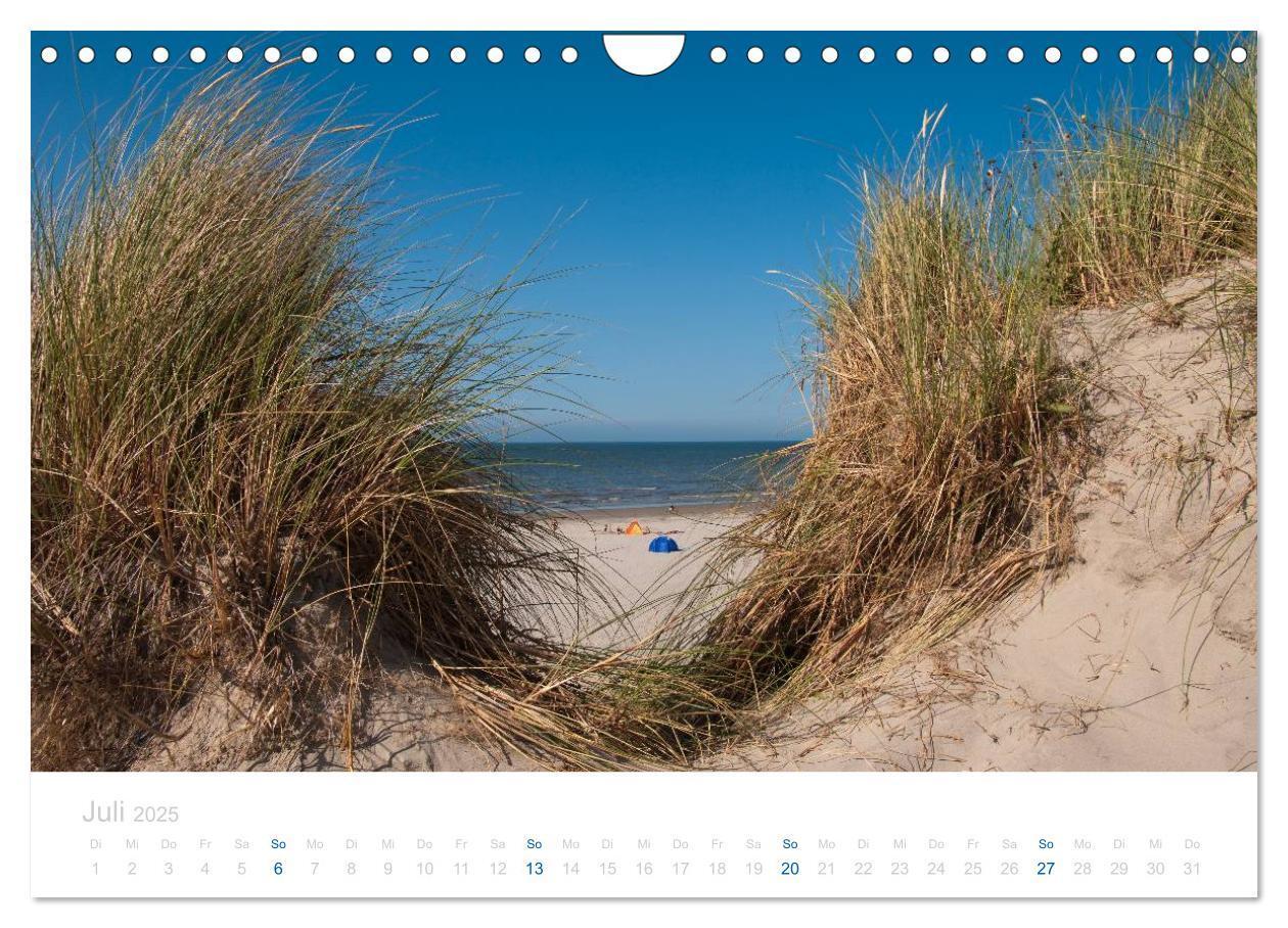 Bild: 9783435817139 | Ameland (Wandkalender 2025 DIN A4 quer), CALVENDO Monatskalender