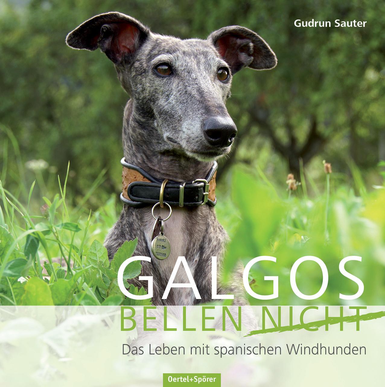 Cover: 9783886278602 | Galgos bellen nicht | Das Leben mit den spanischen Windhunden | Sauter