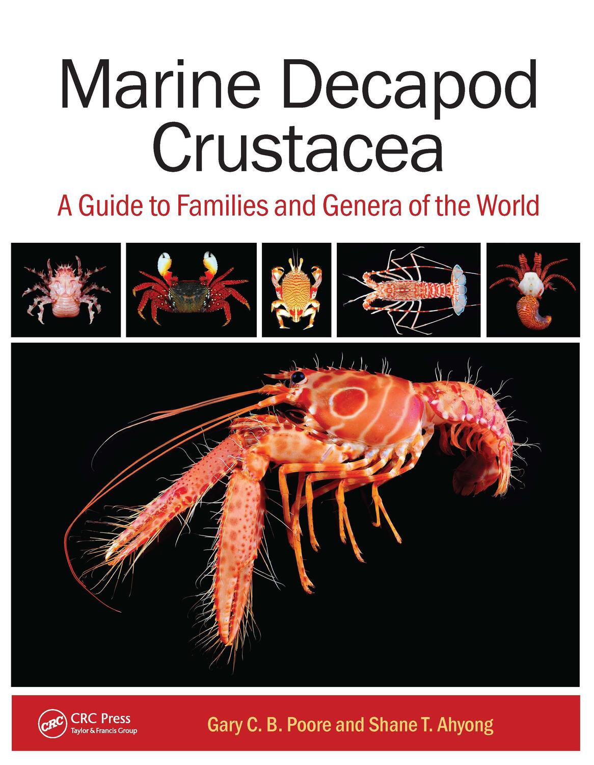 Cover: 9781032138022 | Marine Decapod Crustacea | A Guide to Families and Genera of the World