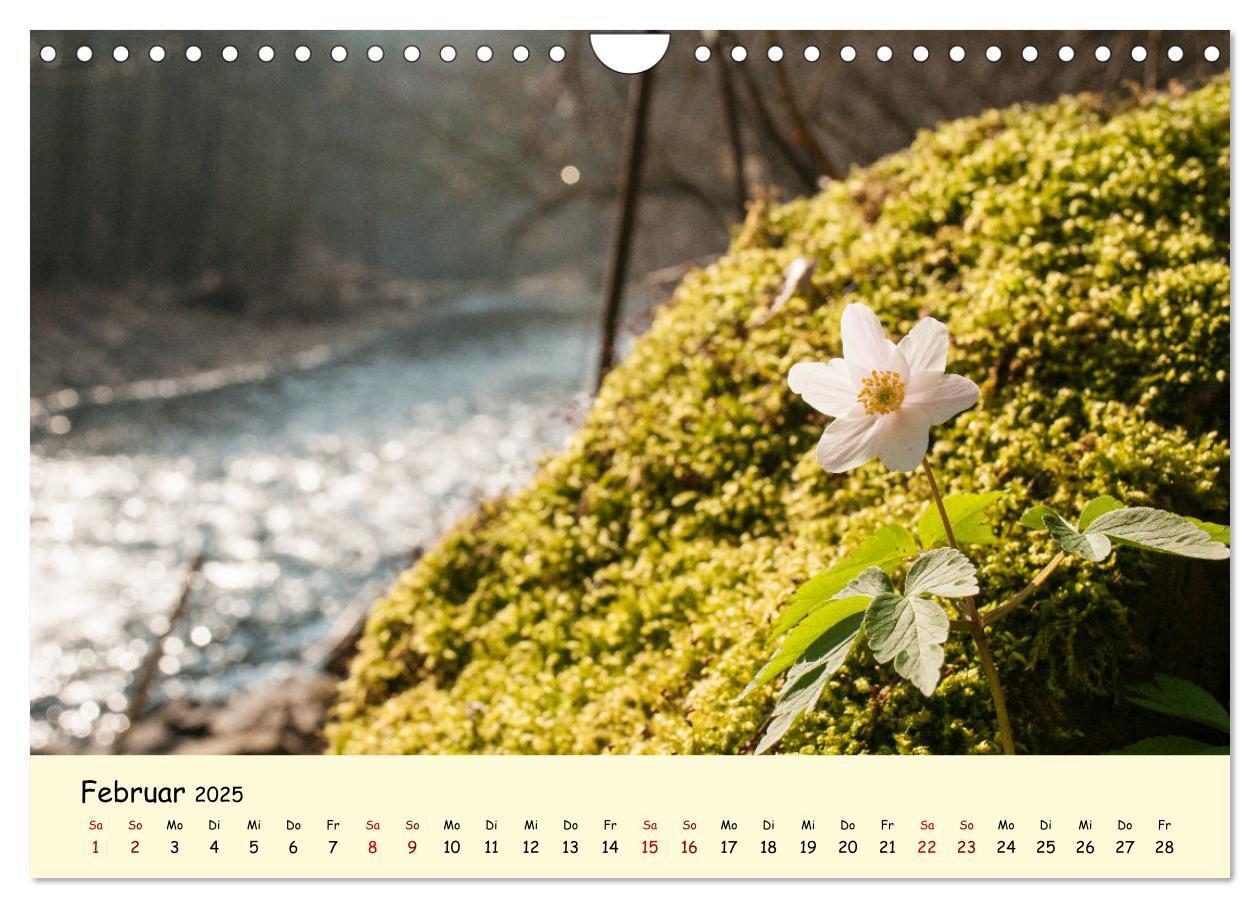 Bild: 9783435012237 | Müngstener Brücke - Landschaft rund um Solingen (Wandkalender 2025...