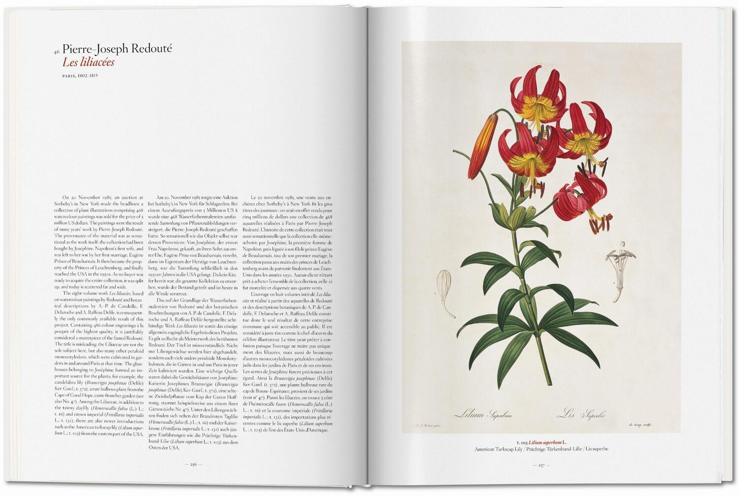 Bild: 9783836577397 | A Garden Eden. Masterpieces of Botanical Illustration | H. Walter Lack