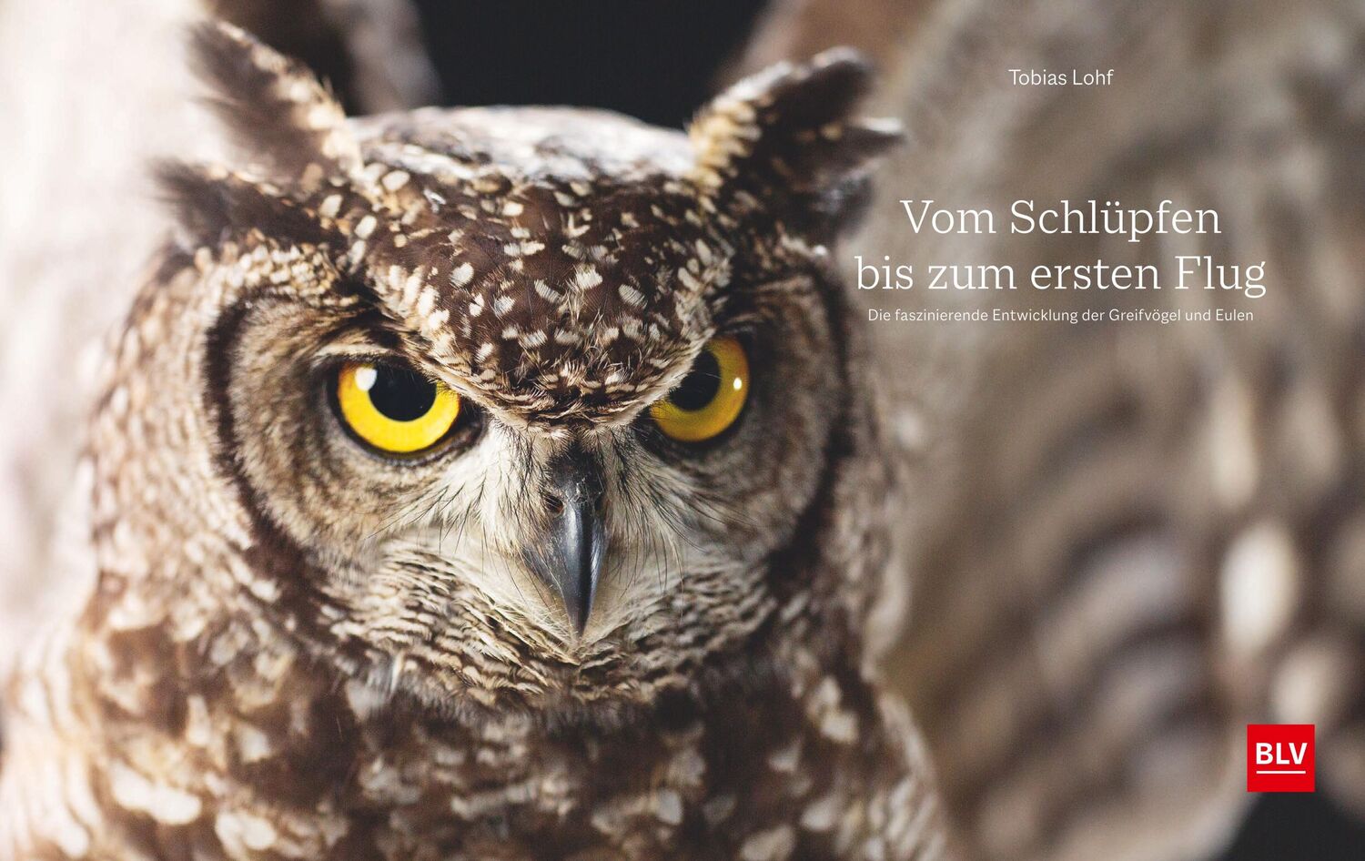 Bild: 9783967470567 | Vom Schlüpfen bis zum ersten Flug | Tobias Lohf | Buch | 192 S. | 2021