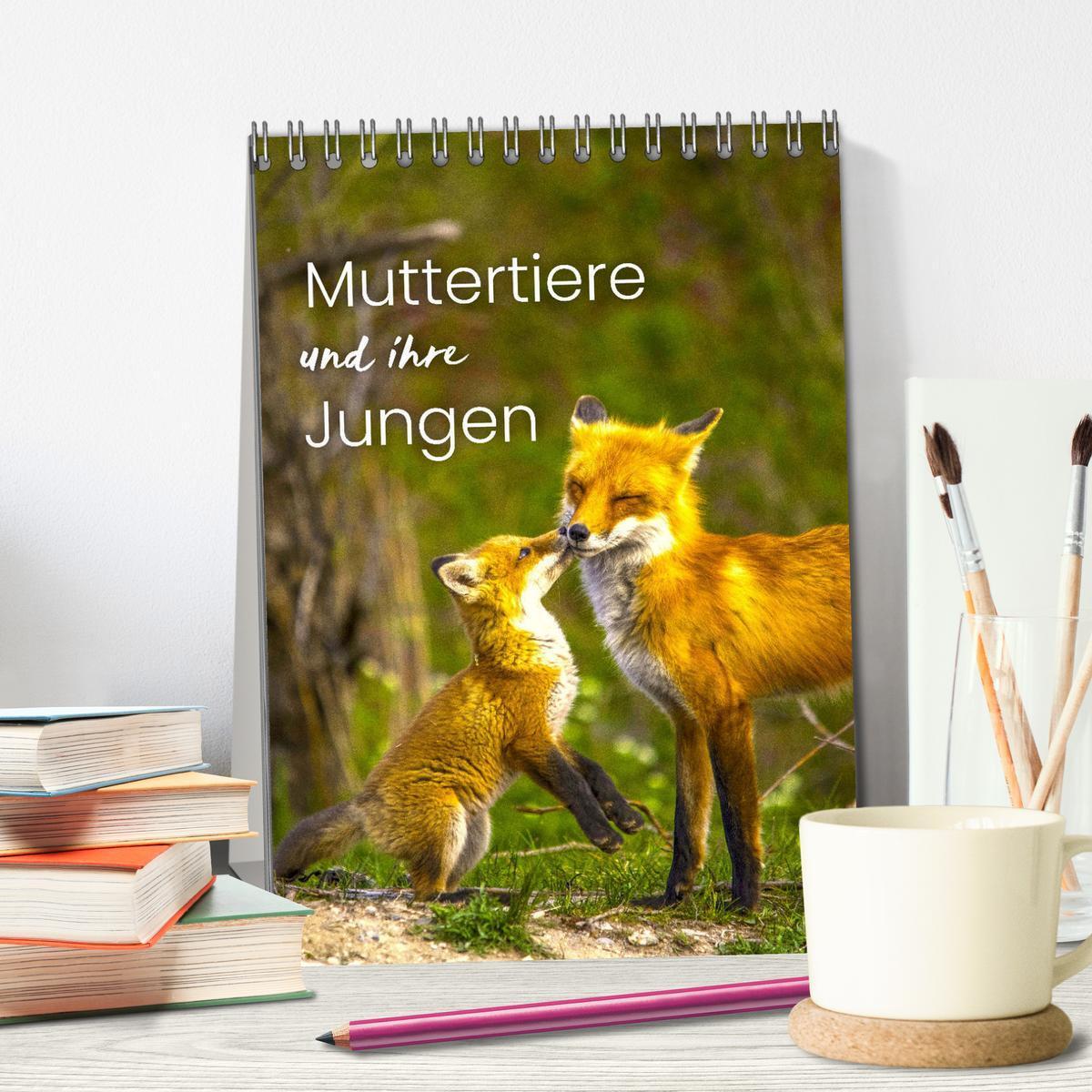 Bild: 9783435898558 | Muttertiere und ihre Jungen (Tischkalender 2025 DIN A5 hoch),...