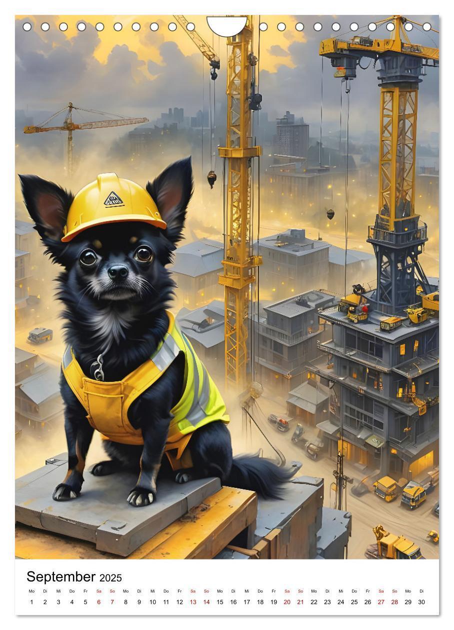 Bild: 9783435043309 | Chihuahua Karrieren (Wandkalender 2025 DIN A4 hoch), CALVENDO...