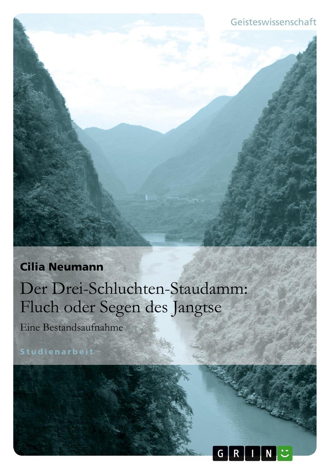 Cover: 9783656024439 | Der Drei-Schluchten-Staudamm: Fluch oder Segen des Jangtse | Neumann