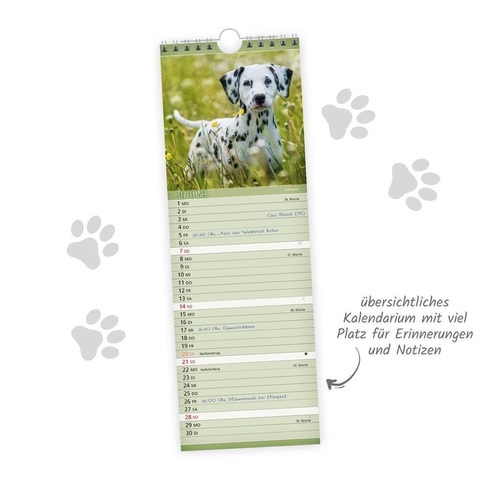 Bild: 9783988022554 | Trötsch Streifenkalender Hunde 2025 Notizkalender | KG | Kalender