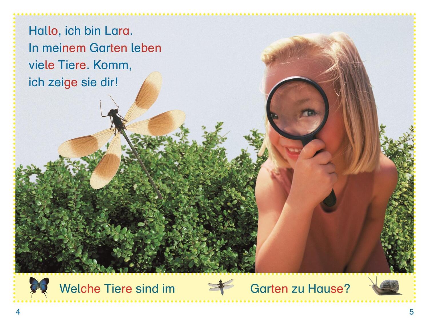 Bild: 9783831046461 | SUPERLESER! Wer versteckt sich im Garten? | DK Verlag - Kids | Buch