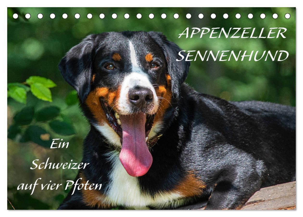 Cover: 9783675679085 | Appenzeller Sennenhund - Ein Schweizer auf 4 Pfoten (Tischkalender...