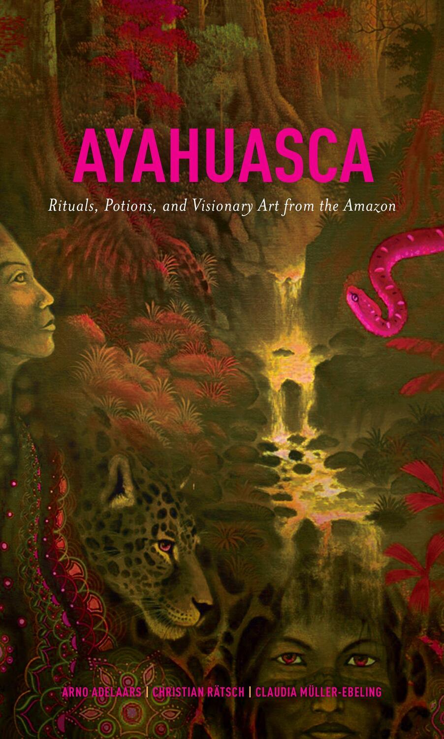 Cover: 9781611250510 | Ayahuasca: Rituals, Potions and Visionary Art from the Amazon | Buch