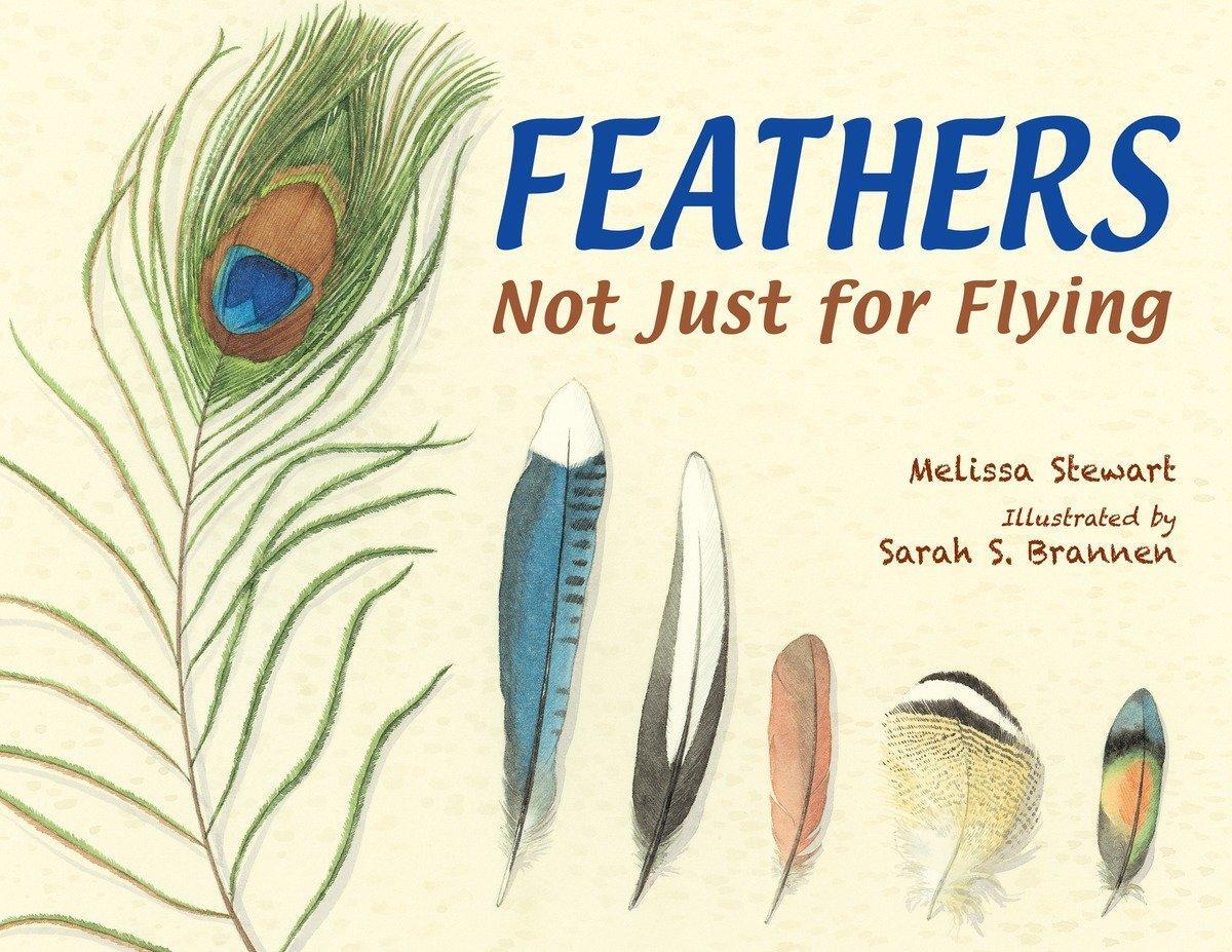 Cover: 9781580894319 | Feathers | Not Just for Flying | Melissa Stewart | Taschenbuch | 2014