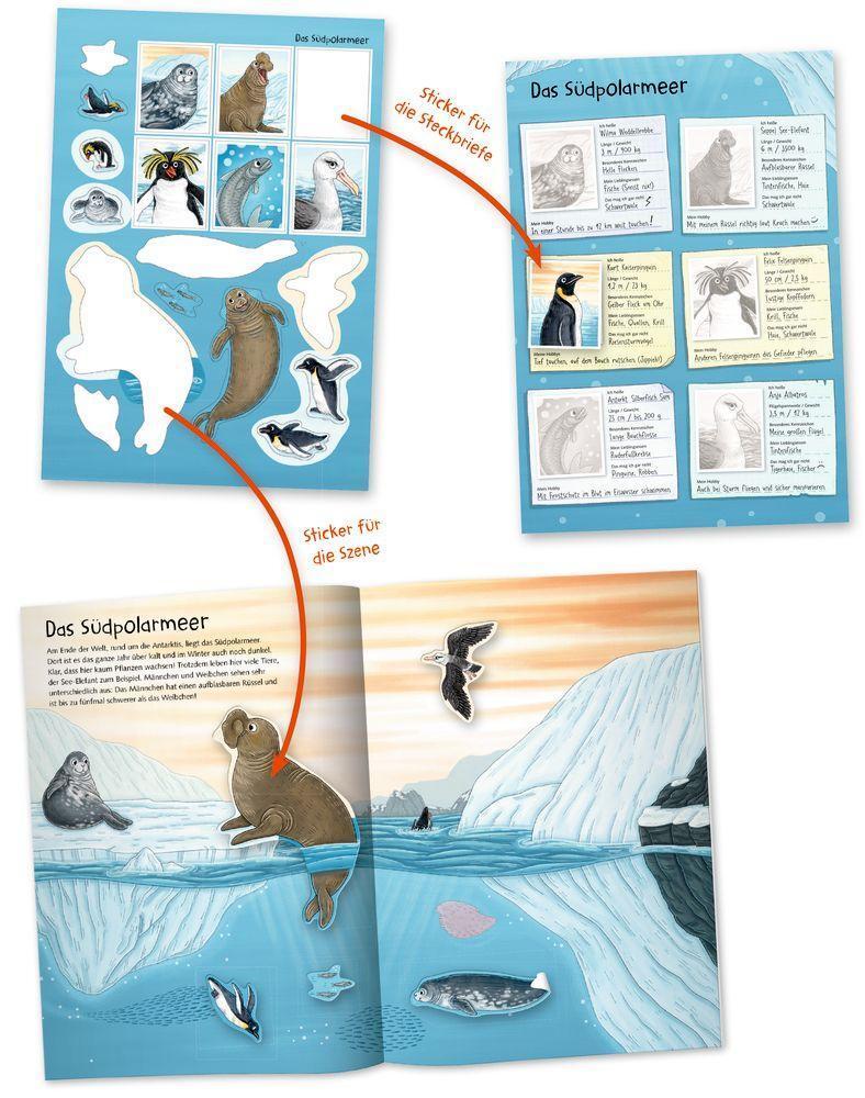 Bild: 9783649636984 | Natur-Stickerwelt: Tiere in Meer und Ozean | Taschenbuch | Nature Zoom