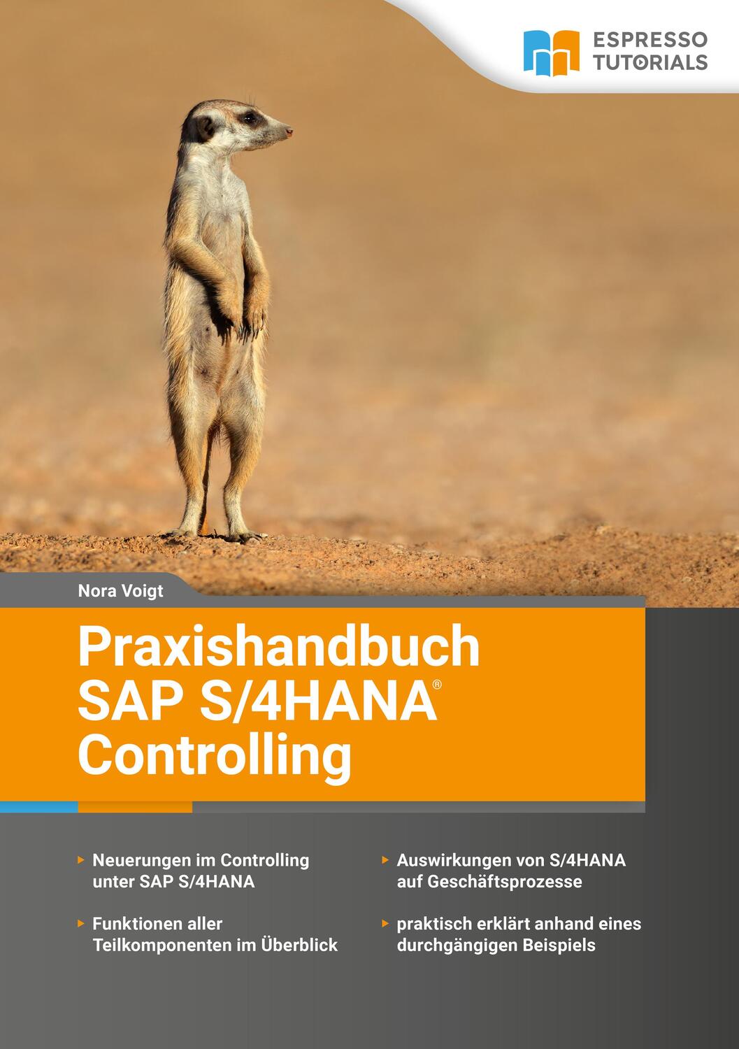 Cover: 9783960121589 | Praxishandbuch SAP S/4HANA Controlling | Nora Voigt | Taschenbuch
