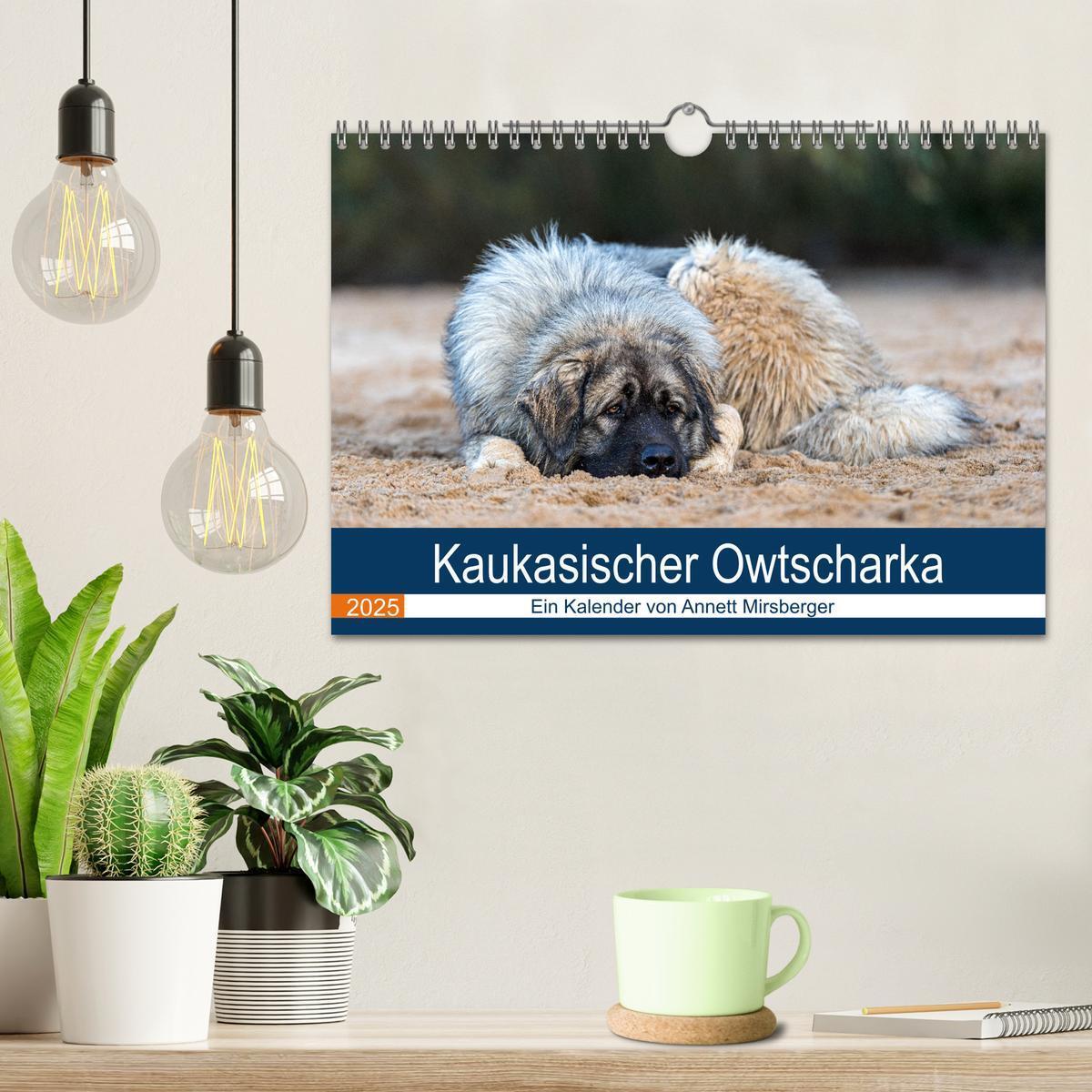 Bild: 9783435046553 | Kaukasischer Owtscharka (Wandkalender 2025 DIN A4 quer), CALVENDO...