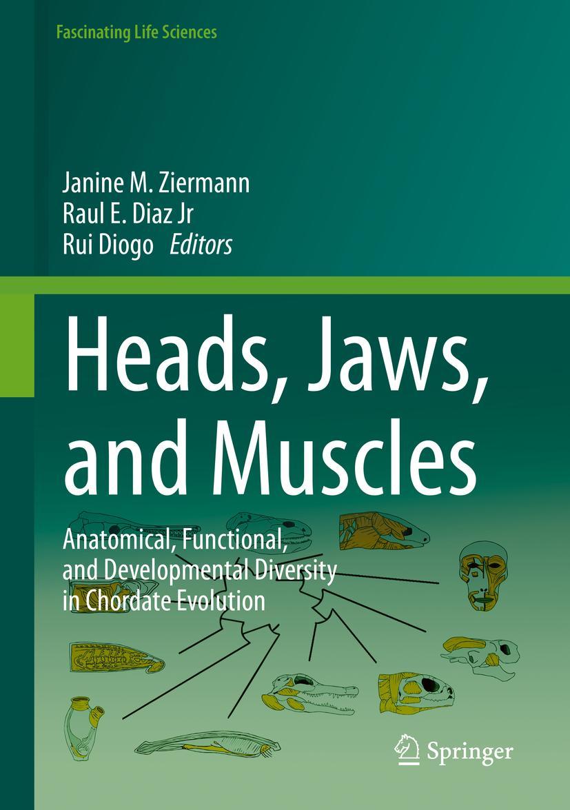 Cover: 9783319935591 | Heads, Jaws, and Muscles | Janine M. Ziermann (u. a.) | Buch | xiv