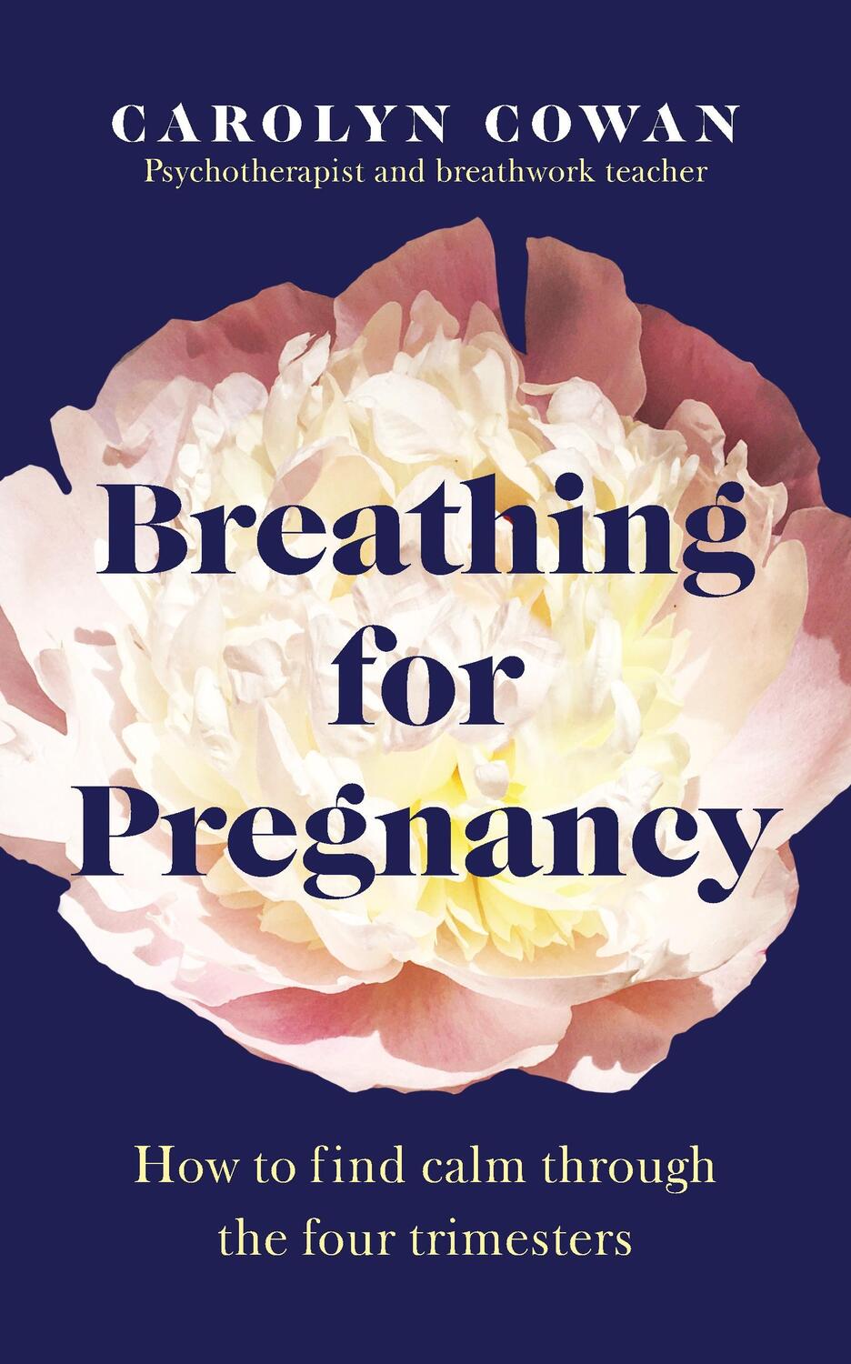 Cover: 9781785044441 | Breathing for Pregnancy | How to find calm through the four trimesters
