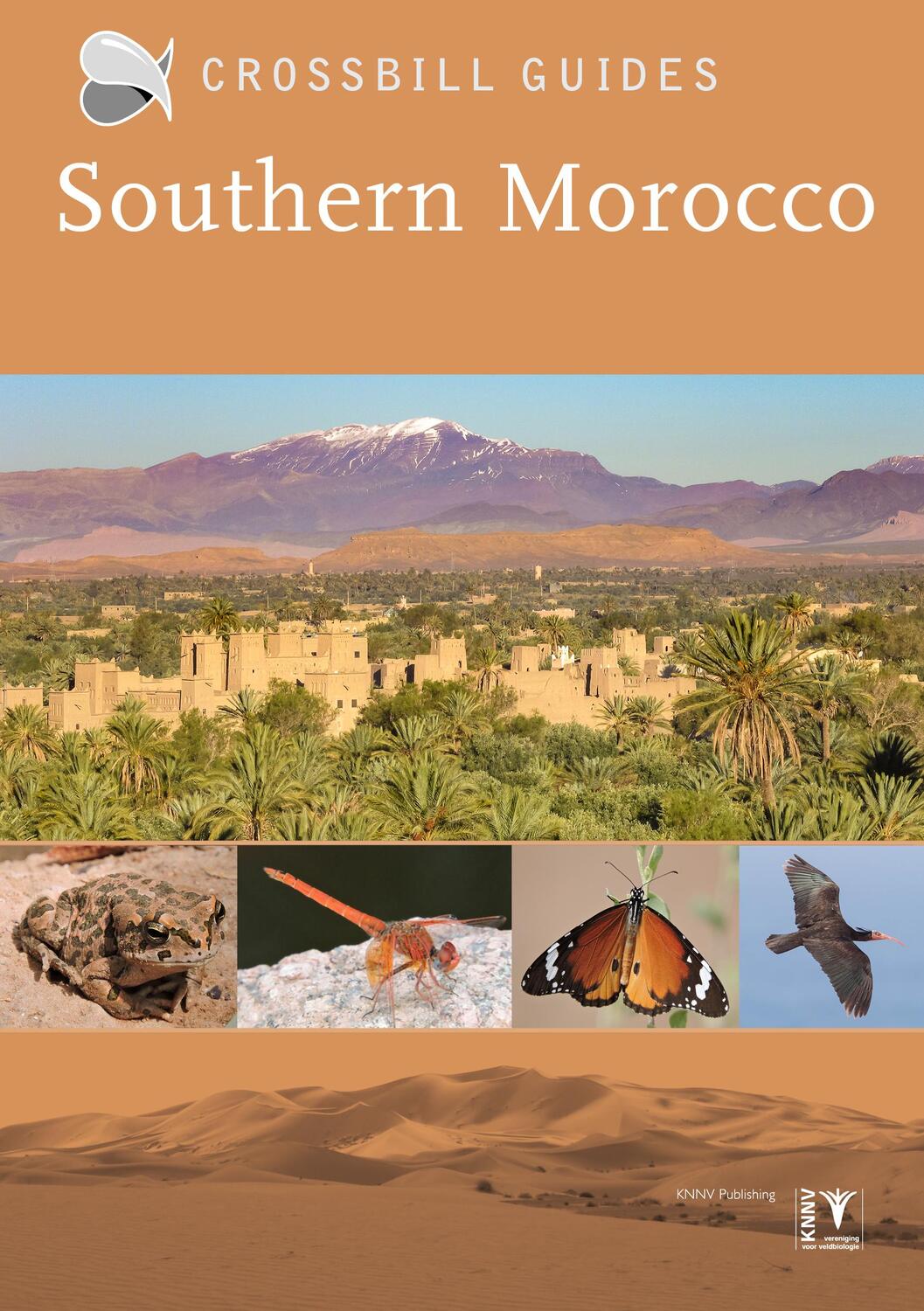 Cover: 9789491648212 | Southern Morocco | Martin Pitt | Taschenbuch | Crossbill Guides | 2023