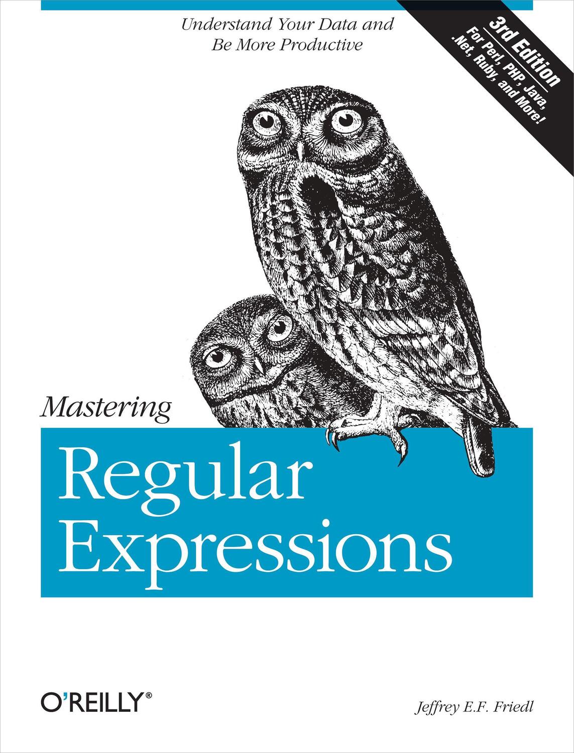 Cover: 9780596528126 | Mastering Regular Expressions | Jeffrey Friedl | Taschenbuch | 2006