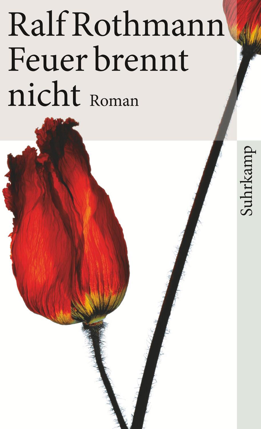 Cover: 9783518461730 | Feuer brennt nicht | Ralf Rothmann | Taschenbuch | Deutsch | 2010