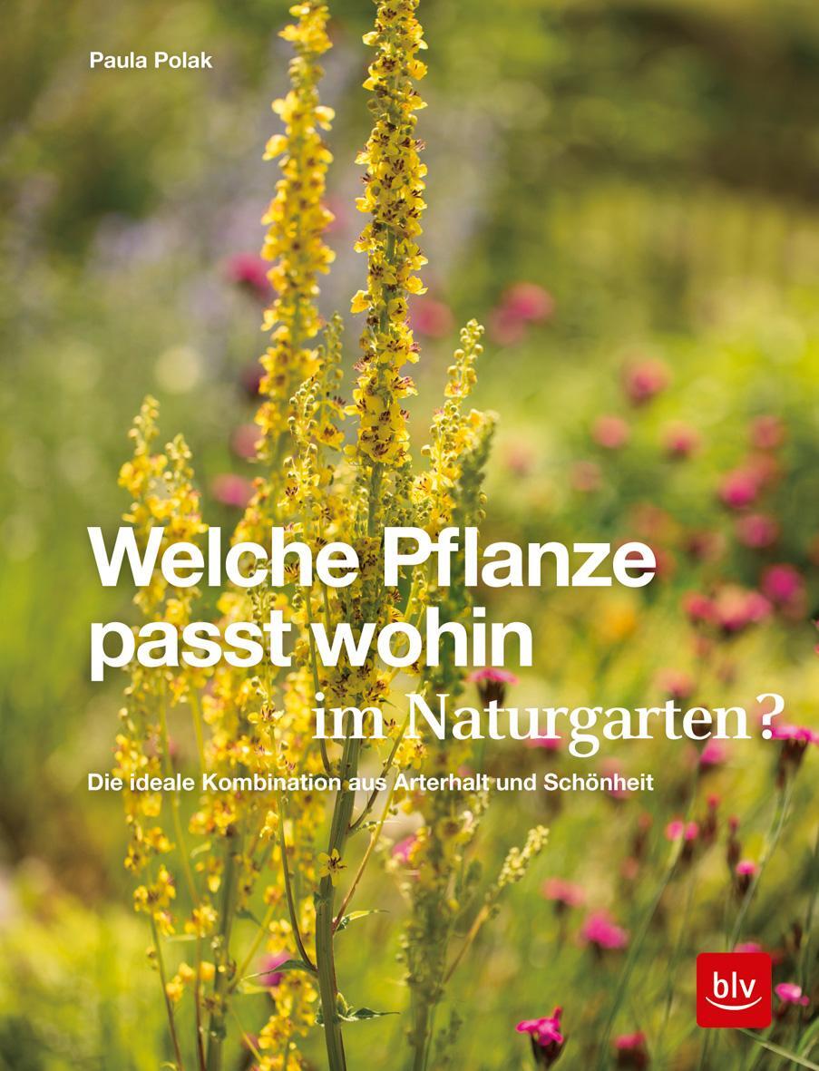 Cover: 9783967470048 | Welche Pflanze passt wohin im Naturgarten? | Paula Polak | Buch | 2020