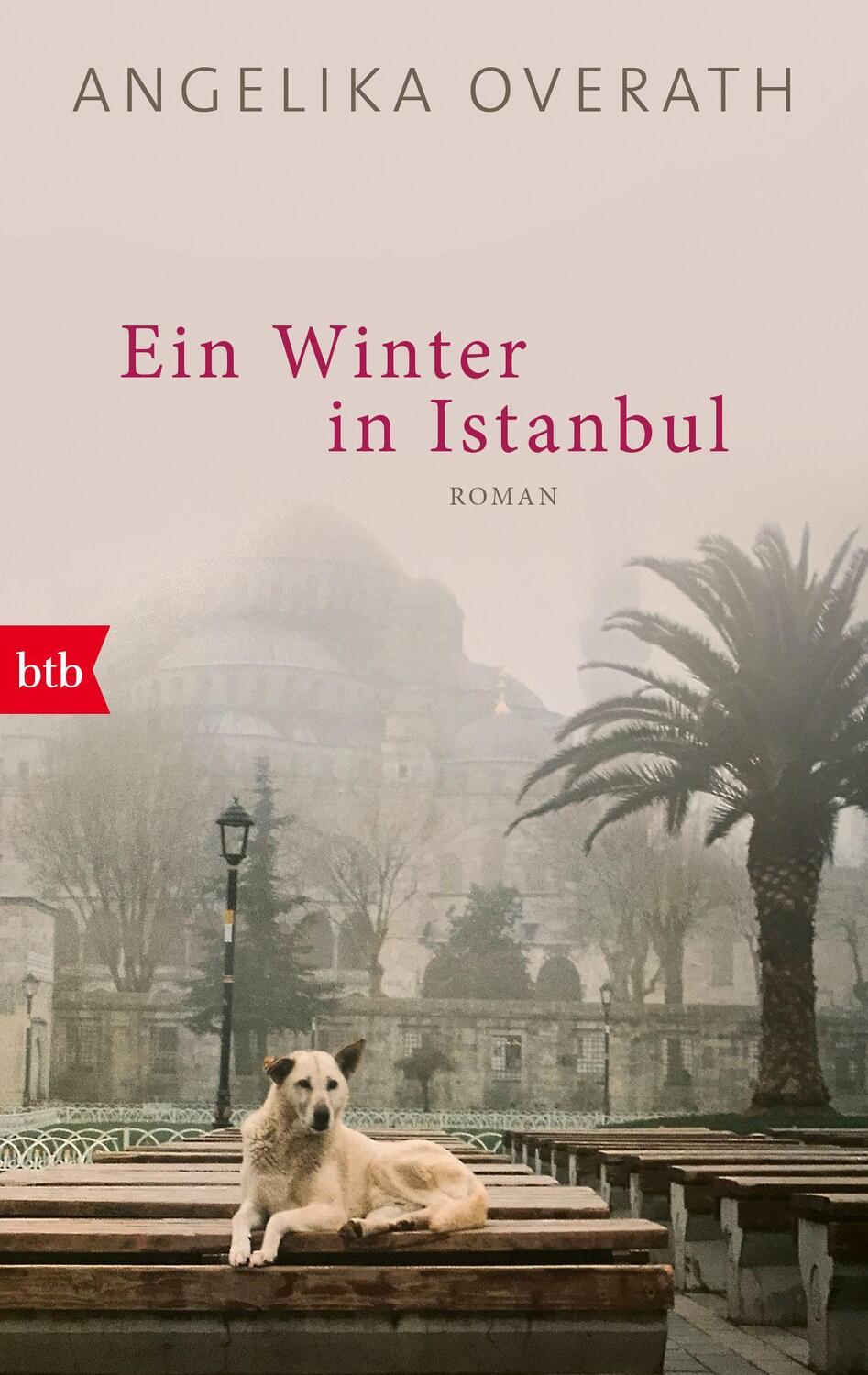 Cover: 9783442773220 | Ein Winter in Istanbul | Roman | Angelika Overath | Taschenbuch | 2023