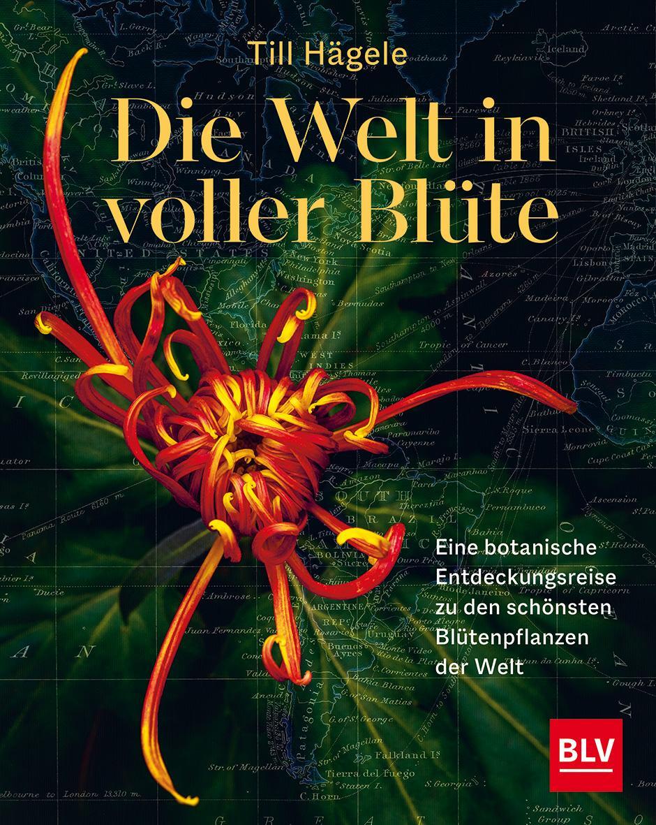 Cover: 9783967470635 | Die Welt in voller Blüte: Eine botanische Entdeckungsreise zu den...